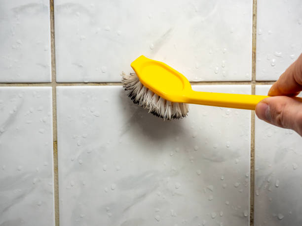 Best Same-Day Mold Removal  in Bogota, NJ